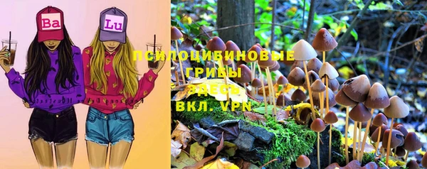 герыч Абаза