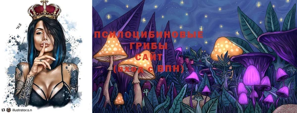стафф Абинск