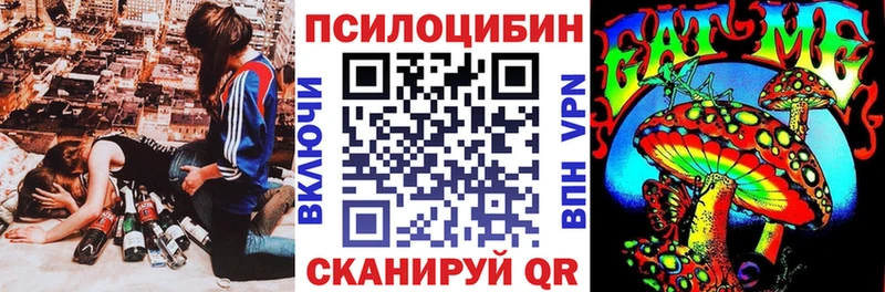 где продают наркотики  Бирюсинск  Псилоцибиновые грибы GOLDEN TEACHER 